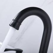 Black Matte 2 Handle Widespread Bathroom Faucet, 3 Hole Bathroom Sink Faucet with Drain and Supply Hose